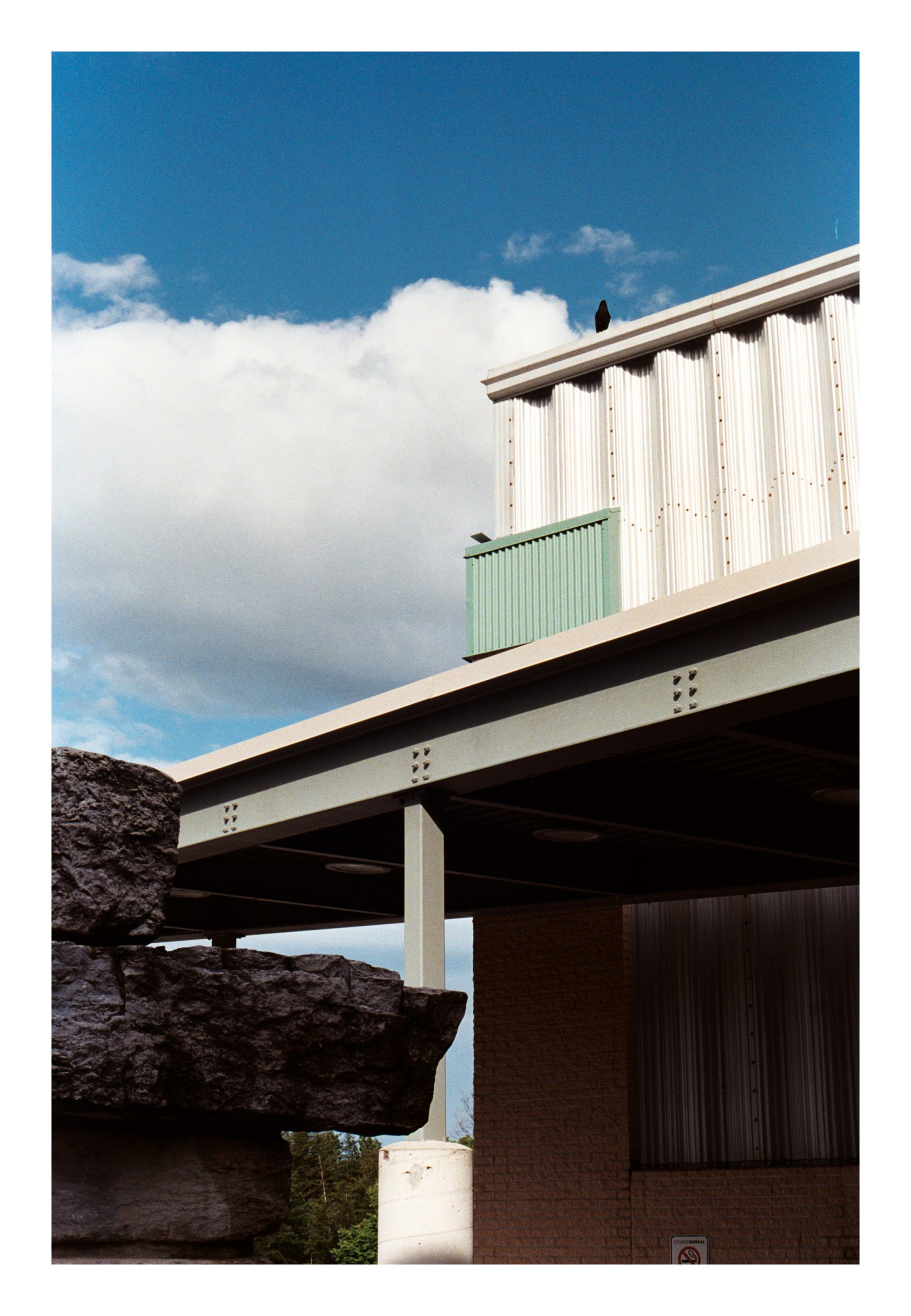 Bird perched on roof vertical